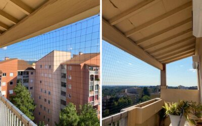 Pigeons en ville : quelles nuisances et comment s’en protéger à Aix-en-Provence ?